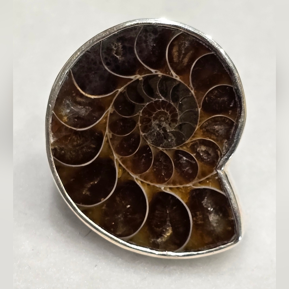 Ammonite Ring, Solid Sterling Silver Gemstone Ring - image 2
